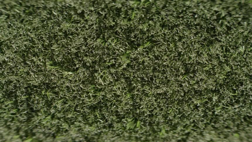 A top down abstract view of dark green artificial turf with textured blades creating a dense surface