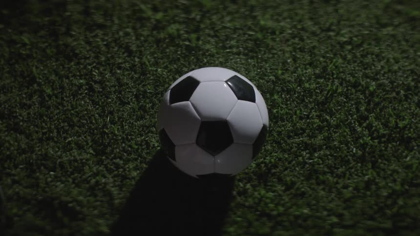 The soccer ball sits on the grass