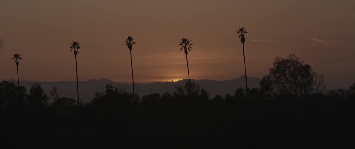 Tall palm trees and mountains with a cloudy sunset