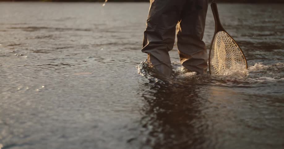The lower body of a man wearing fishing waders is standing still in a shallow river at sunset causing ripples around their legs while he hold a net with a light mesh bag resting against the moving water