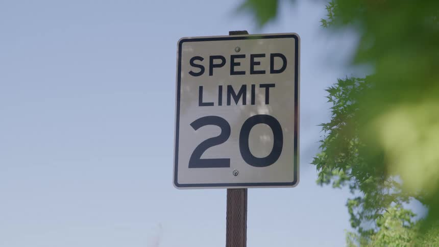 A close view of a white rectangular speed limit sign showing 20 miles per hour seen through green foliage against a pale sky