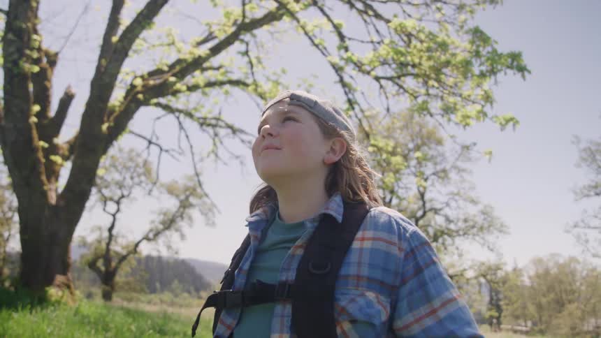 A young person wearing a plaid shirt and a baseball cap stands in a grassy field looking up with wonder toward the bright green canopy of the trees the sunlight beams through the spring leaves creating a warm outdoor atmosphere