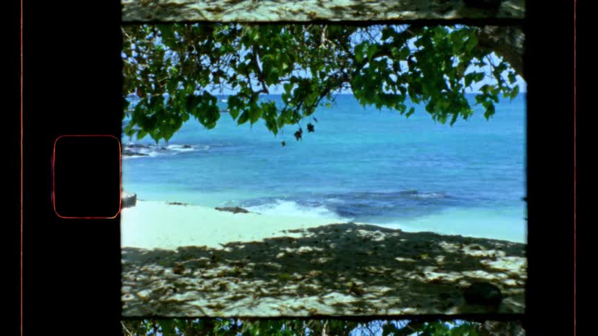 A tropical beach with turquoise waters and gentle waves shaded by lush green leaves