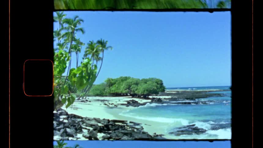 Avio sobrevoando cu azul enquadrado por borda de filme com vegetao tropical ao redor
