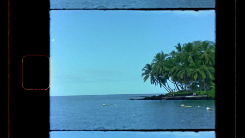 The shore is lined with tall palm trees