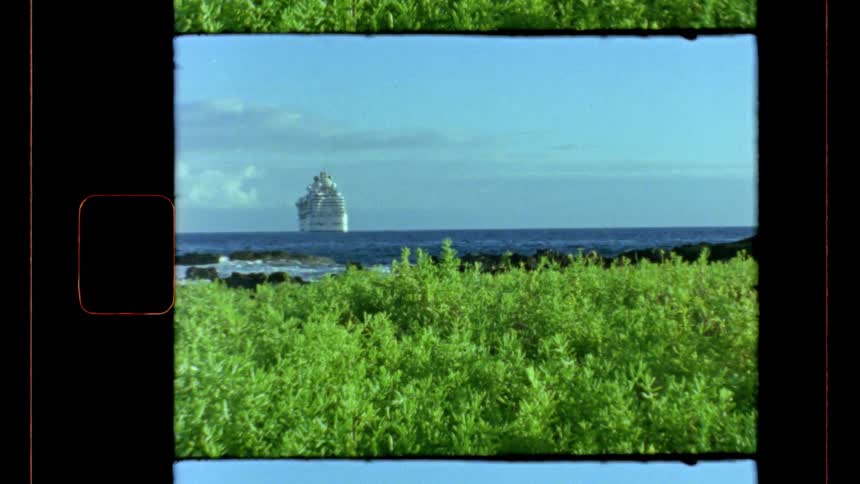 A cruise ship passes a rocky shoreline with green foliage under a bright sky