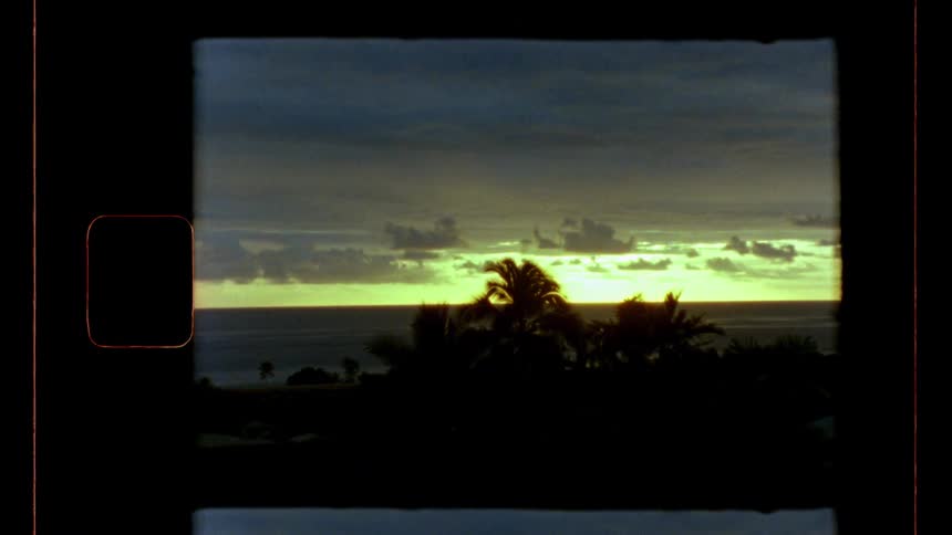 A tropical island shoreline glows at sunset lined with palm trees swaying gently in the warm breeze