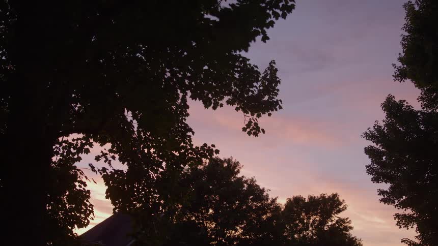 Trees in front of a neighborhood house under a cloudy sky at dusk