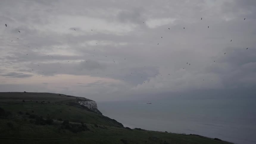 Birds fly around the side of a cliff by the shore