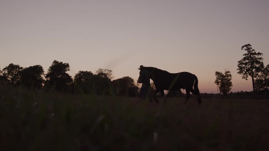 The dark silhouettes of a horse and a person wearing a hat are seen walking across an open field from left to right at a slow pace against a pale pink and orange sky during twilight with trees visible on the horizon