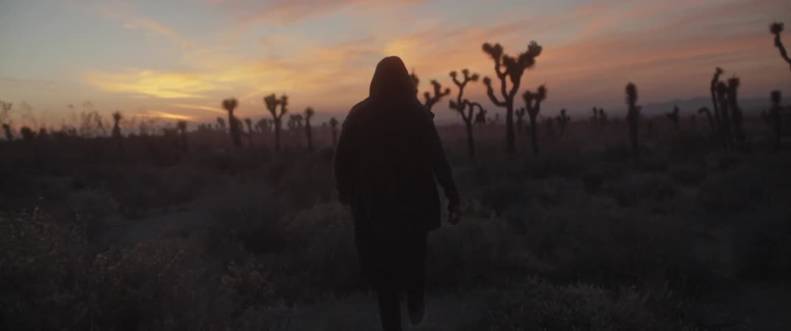 A man wearing a hoodie walks in a desert at sunset
