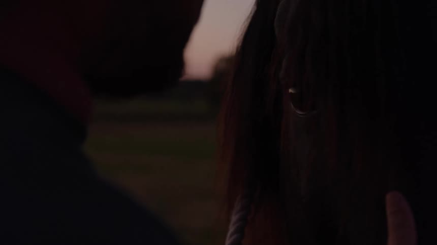 Man gently touches a horses face at sunset