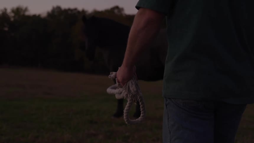 Person in dark green shirt holding coiled rope in front of horse in field at dusk