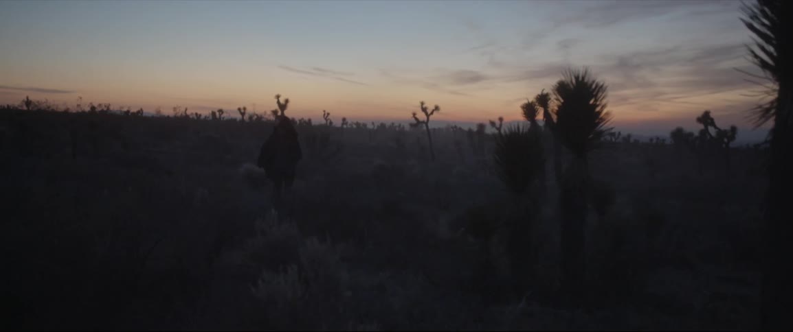 The sun is setting on this desert