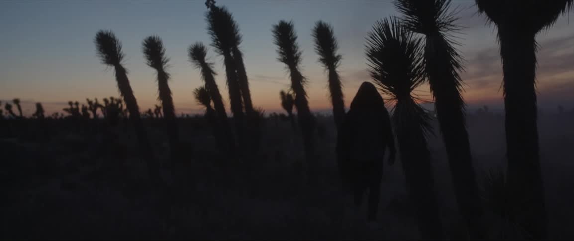A man in a hooded jacket walks in the desert at sunset
