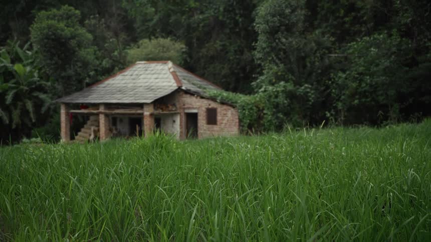 Brick house with tiled roof rests between green field and dense vegetation in rural setting