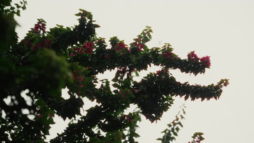 Some birds flying above a tree