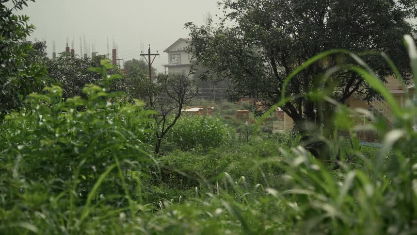 The yard of the home is covered in bushes