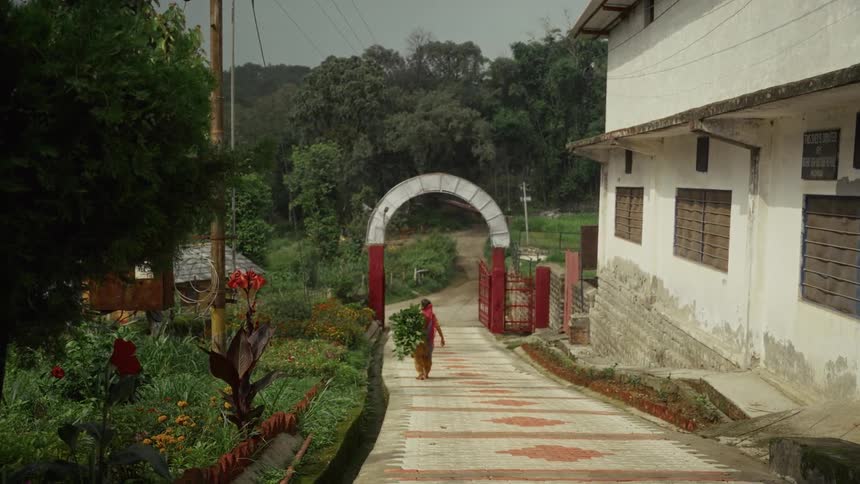Person walks along paved garden path carrying green leaves in front of red and white gate