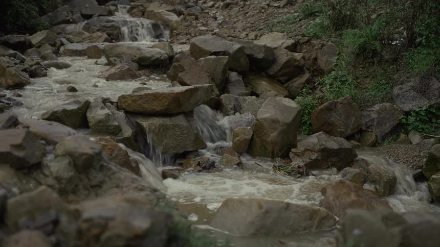 A rocky stream flows over dark boulders surrounded by green foliage