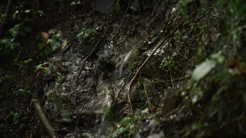 The water flows over the soil and leaves