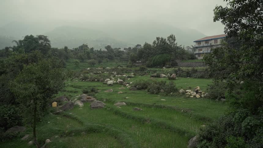 A large yard with steppes and rocks