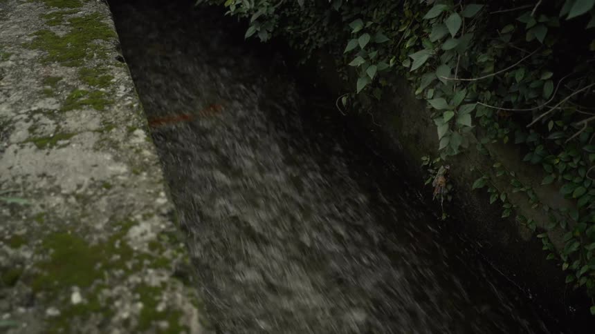 Flowing water running through a narrow channel bordered by mossy stones and vegetation