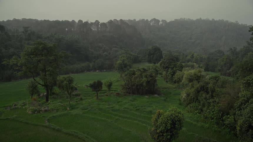 Lush green terraced fields stretch across rolling forested hills under an overcast sky