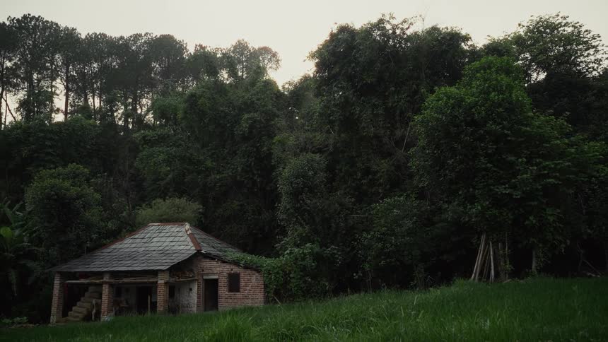 A horse is on the porch of an old house in a rural area
