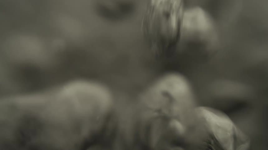 Boiling water bubbles close up bouncing around