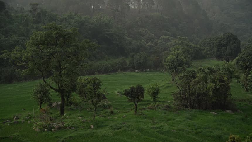 A wide shot of a lush green landscape with scattered trees and thick forests covering misty mountains under a gray overcast sky