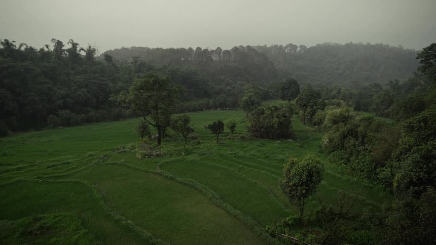 A high static shot overlooks a lush green valley featuring contoured rice terraces and scattered trees in the foreground with the background dominated by dense dark forest and hazy hills receding into the overcast sky