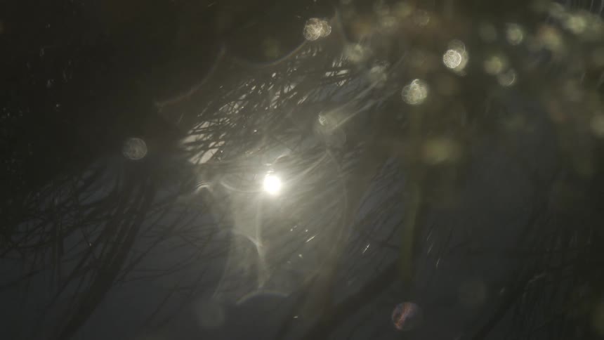 The sun is reflecting on the water