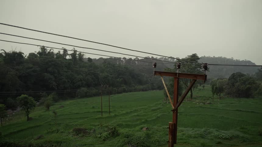 Power lines and power poles are in a rural grassy field
