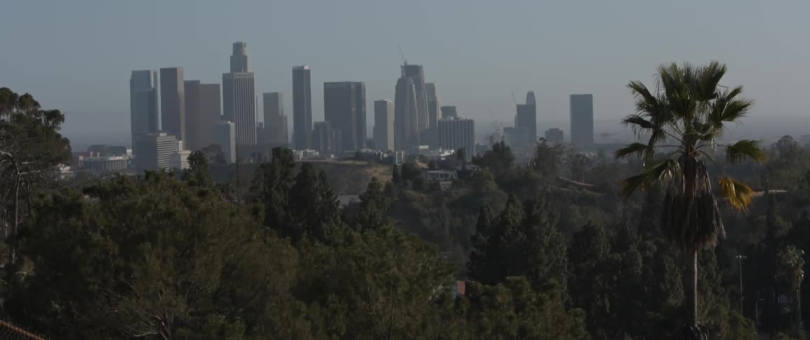 City skyscrapers stand in the distance