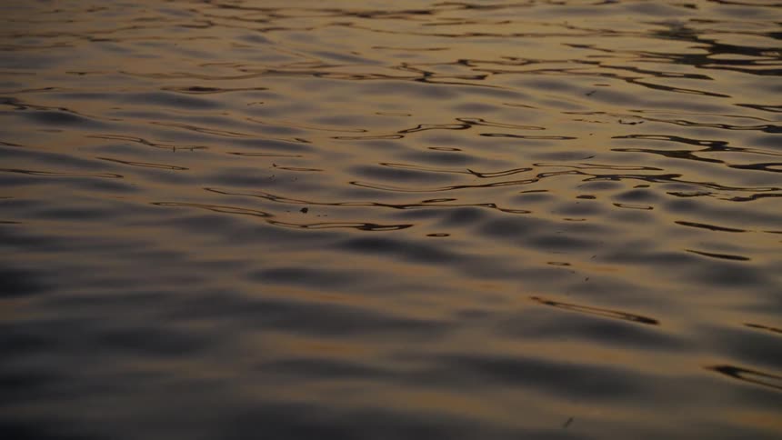 Sunlight reflects on the water as it ripples and waves