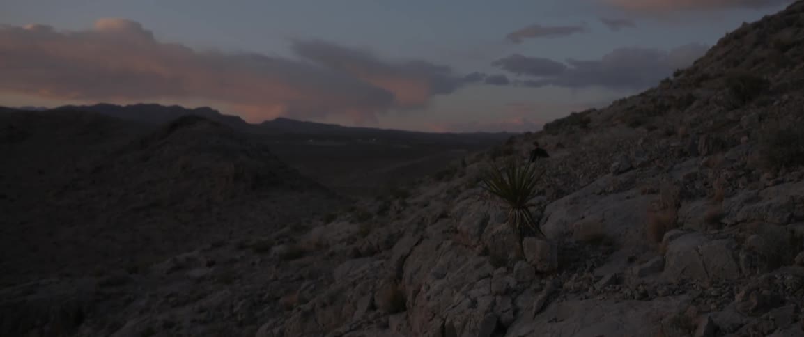 The sun is setting over this rocky field