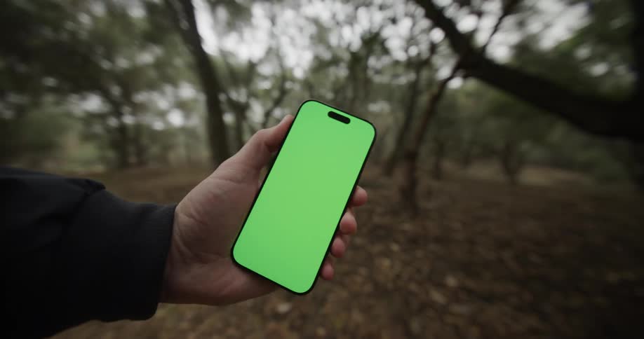 The man turns in the forest while holding his phone