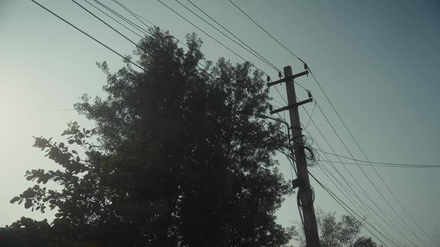 Tree next to a neighborhood utility pole with cables stretching across the sky