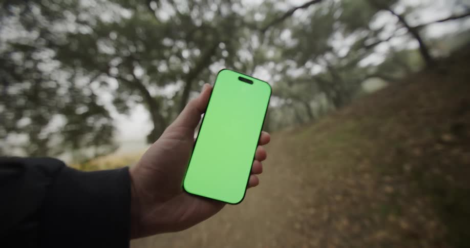 A firstperson perspective shows a hand holding a smartphone with a blank green screen in the middle of a wooded forest path with blurred trees in the background