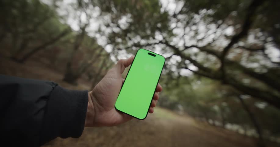 A close view of a hand holding a smartphone with a green screen vertically against a blurred background of a dark forest path
