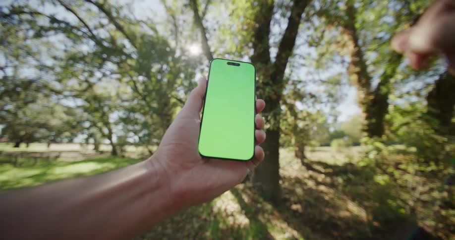 The man slides on his phone in the forest