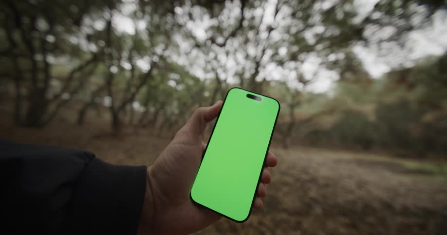 Hand holds a smartphone in a wooded area