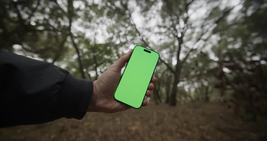 Man holding up cell phone with leaves all over the ground