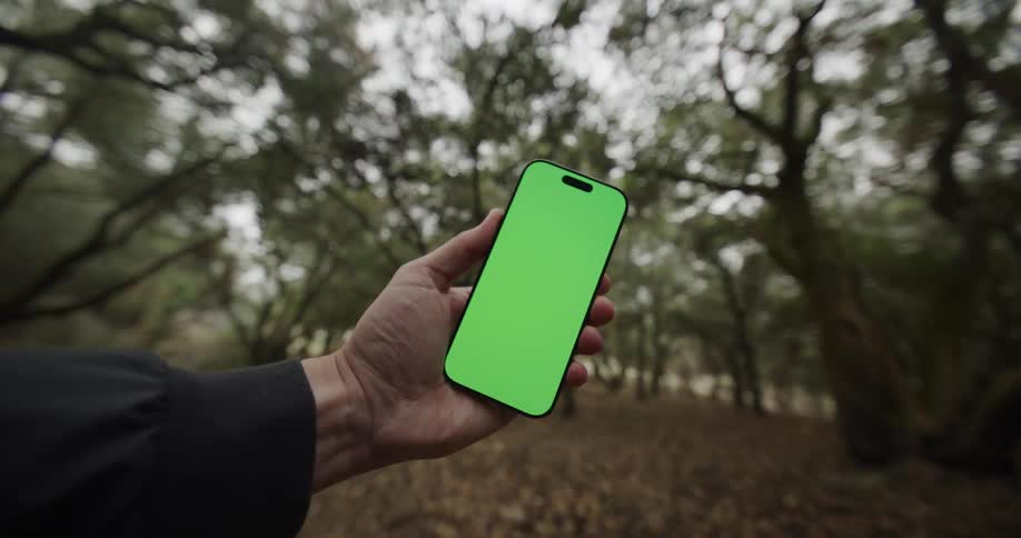 A hand wearing a dark sleeve holds a modern smartphone upright prominently displaying a bright green screen while the background is completely blurred showing a path covered in fallen leaves winding through a forest