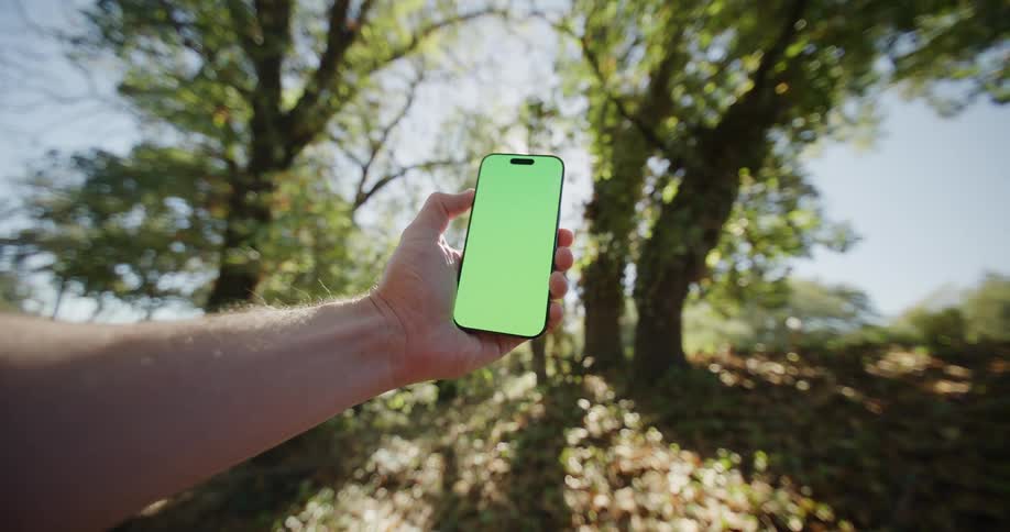 The man holds his phone up to the sunlight