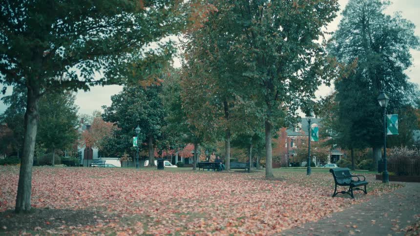 The woman pushes a man in a wheelchair through the park