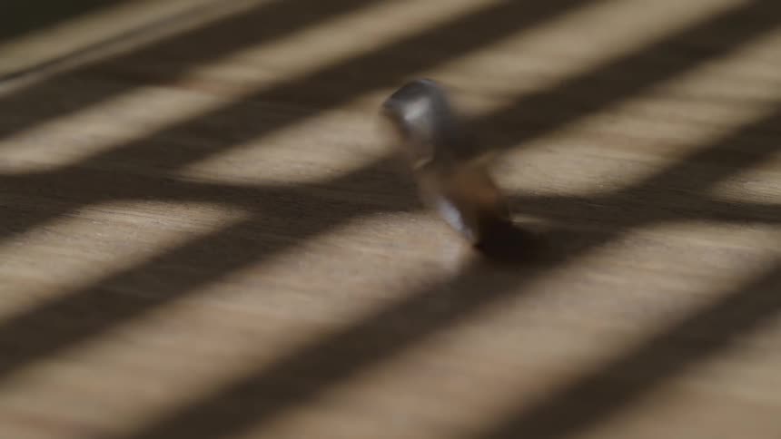 The ring is spinning on the floor
