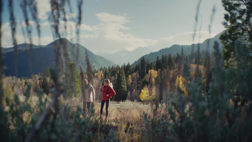 People walking along a trail surrounded by vegetation with mountains in the background