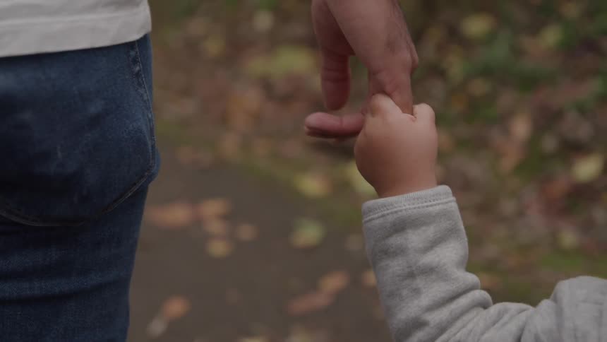 A close view of a small childs hand tightly gripping a mans index finger as they walk outdoors on a path covered in fallen leaves
